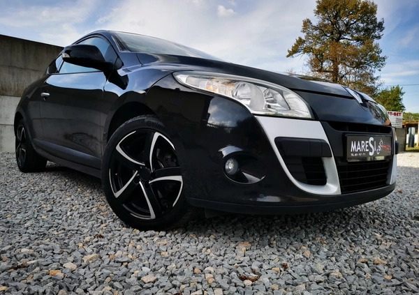 Renault Megane cena 22990 przebieg: 170000, rok produkcji 2009 z Gniezno małe 326